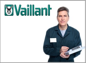Servicio Técnico Vaillant en Sevilla